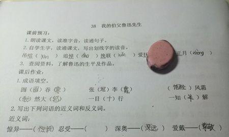 关于菊花的三百字的赞美词语有哪些呢