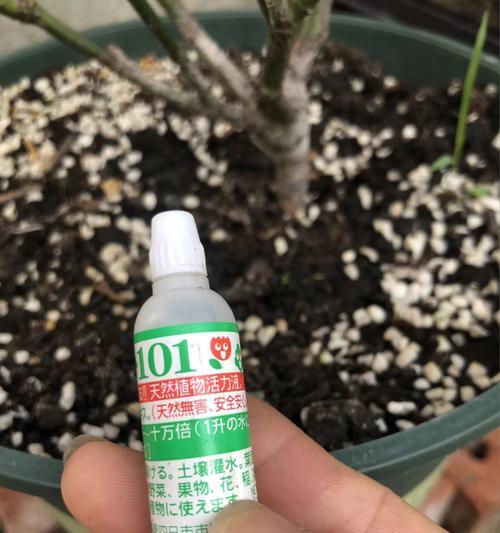 小盆栽怎么测叶面积指数是多少