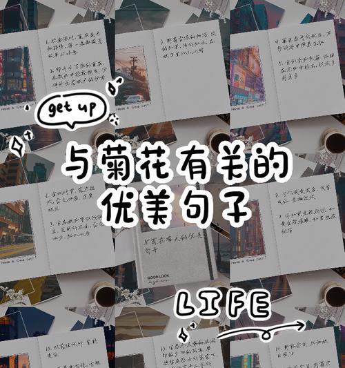 菊花的介绍50字左右句子？有哪些简洁的介绍？