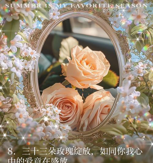 3416朵玫瑰花有何特殊含义？这个数字的玫瑰花代表什么？