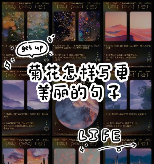 如何用英语简短地说一句关于菊花的句子？