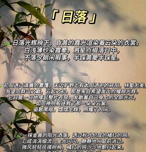 300字描写菊花的句子有哪些？如何摘抄片段？