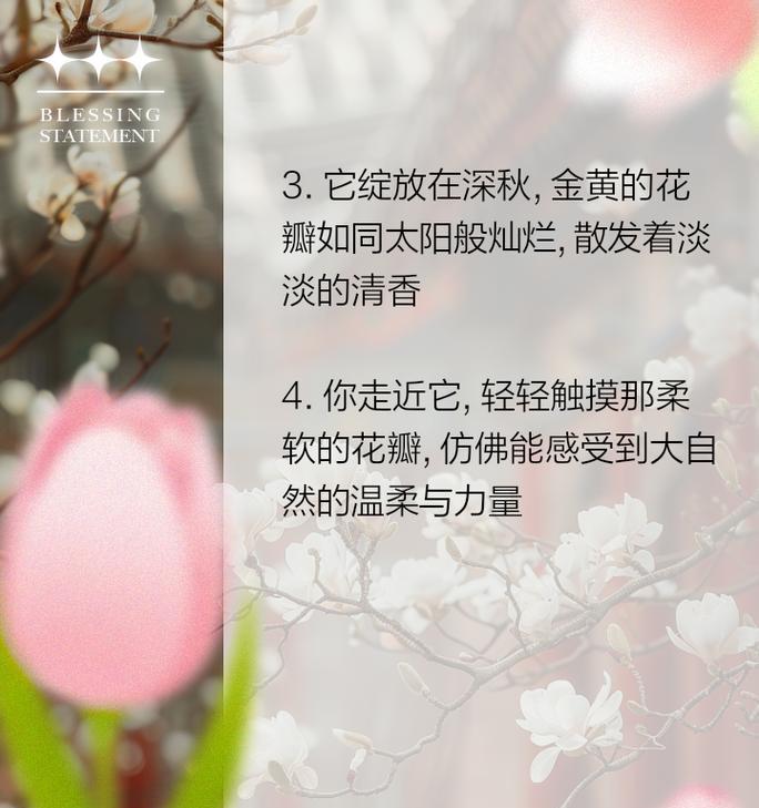 一年级下册如何用简短句子描述菊花？