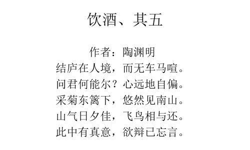 有关菊花的句子简短一点四年级下册？送玫瑰花1388又是什么意思？