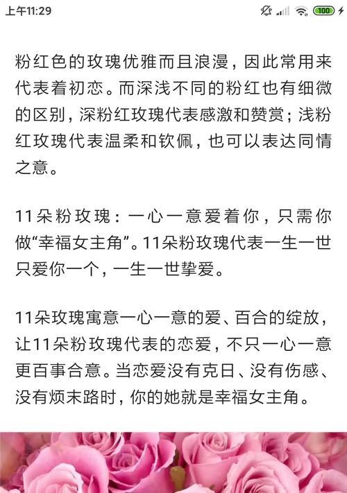 十一朵粉丝玫瑰下一句