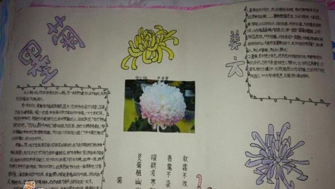 三年级学生如何用20字介绍菊花？
