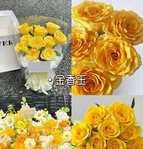九支黄色玫瑰的寓意是什么？