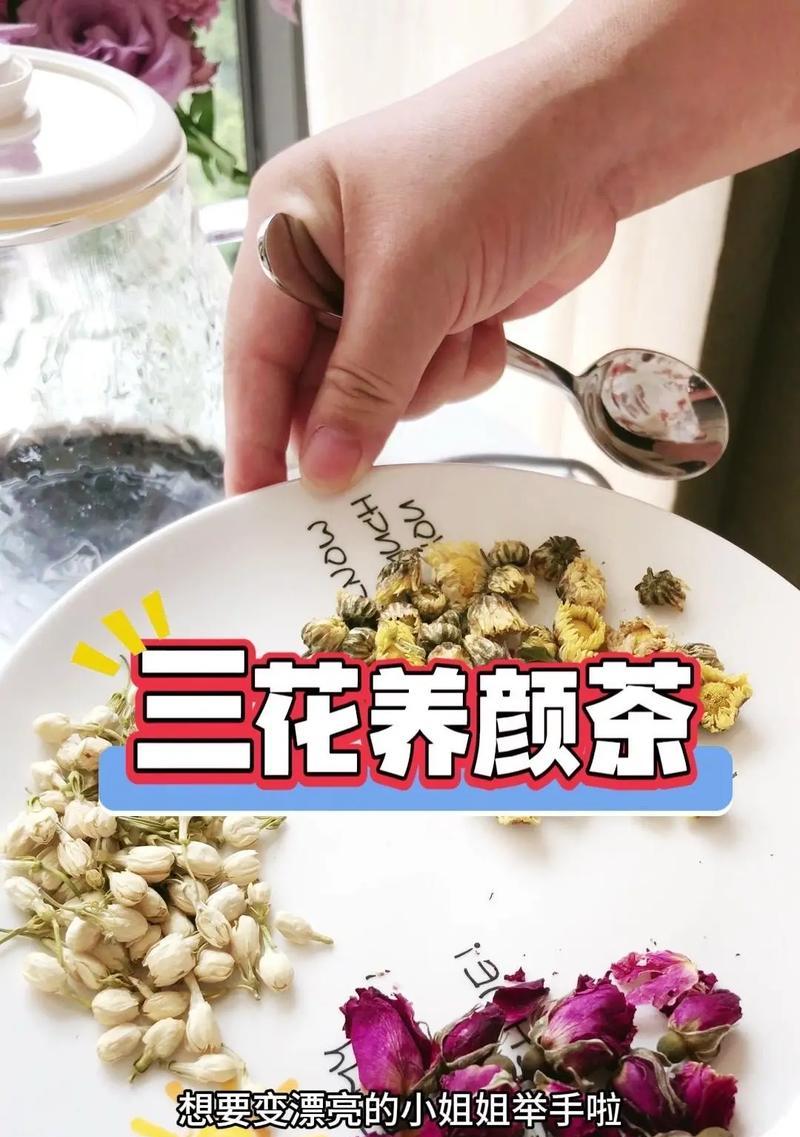菊花受潮能泡水喝吗有毒吗是真的吗