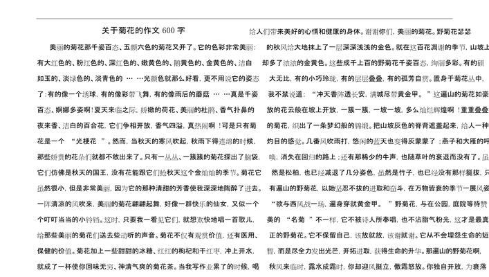 三年级作文中如何简短描述菊花？