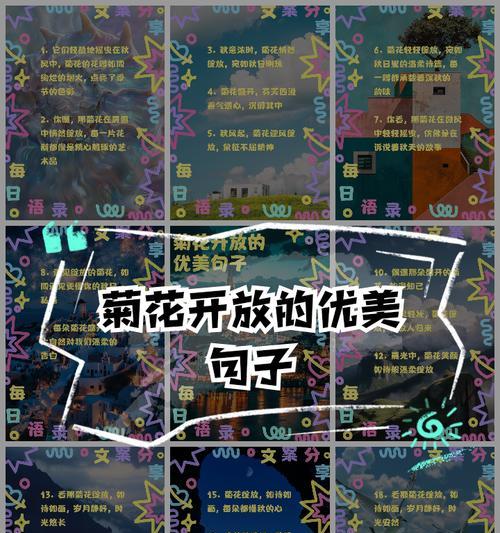 如何用50字简单开头写关于菊花的优美句子？