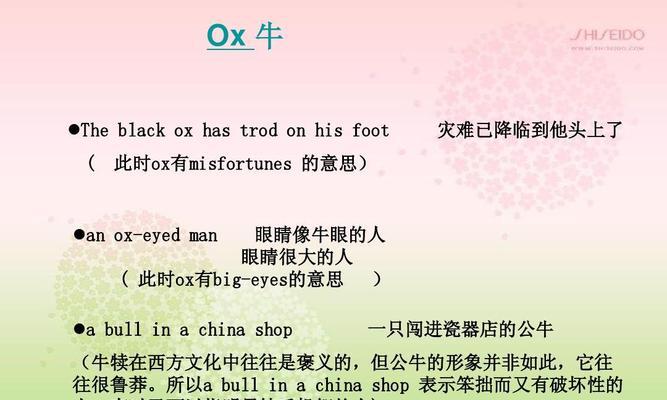 265朵玫瑰花的含义是什么？英语中如何翻译这个数量？