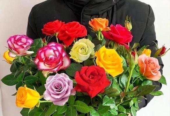 24朵玫瑰花代表什么意思？通过图片能了解其含义吗？