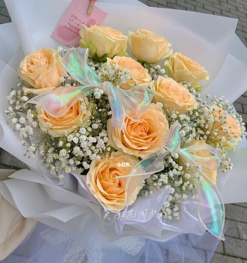 11朵香槟玫瑰花搭配什么花好看又漂亮