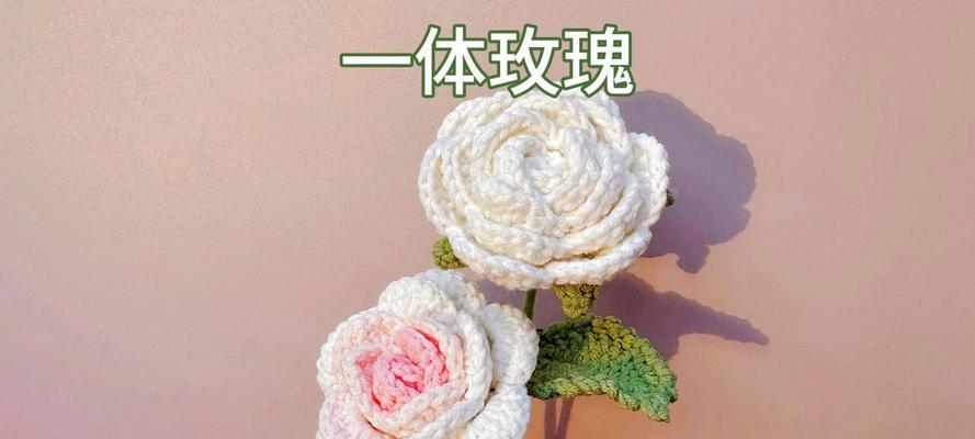 钩针玫瑰花渐变教程视频大全