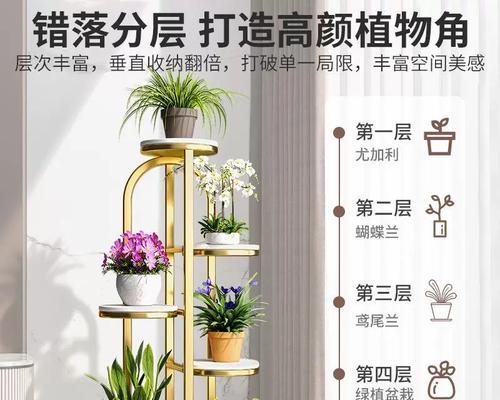 酒架上适合养殖哪些花卉？如何保持其美观和健康？
