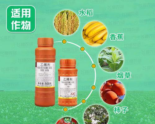 水稻高产调节剂是什么意思？调节剂如何提高水稻产量？