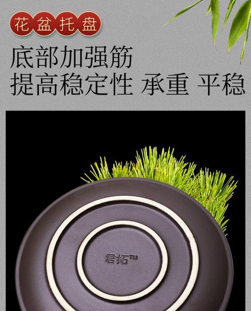 盆栽脱盘的口诀具体指什么？它有什么作用？