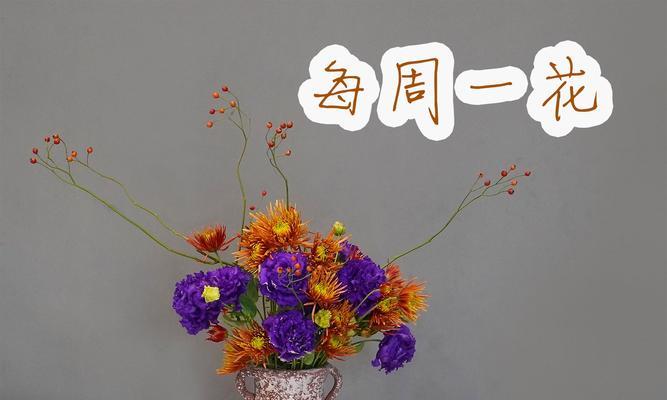 花瓶里适合养殖哪些花卉？