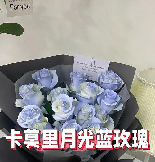 蓝玫瑰配白玫瑰99朵代表什么？蓝玫瑰配白玫瑰99朵什么意思？