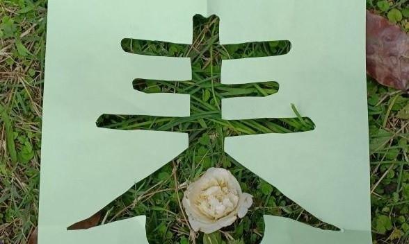 植物地面镂空建筑的创意是什么？