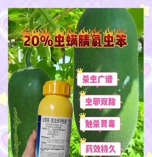 哪种植物是蓟马蚜虫的天敌？如何利用？