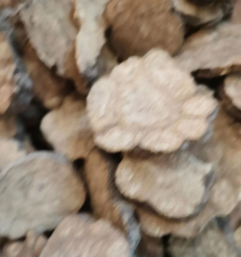 小叶黄连植物有哪些种类？它们的生长环境是什么？