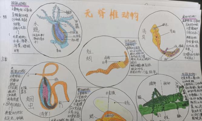怎么制作动植物细胞标本？制作过程中需要注意什么？