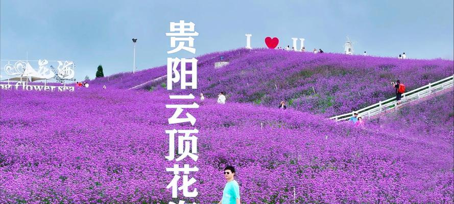 广元花海有哪些花卉种类？如何规划一次花海之旅？