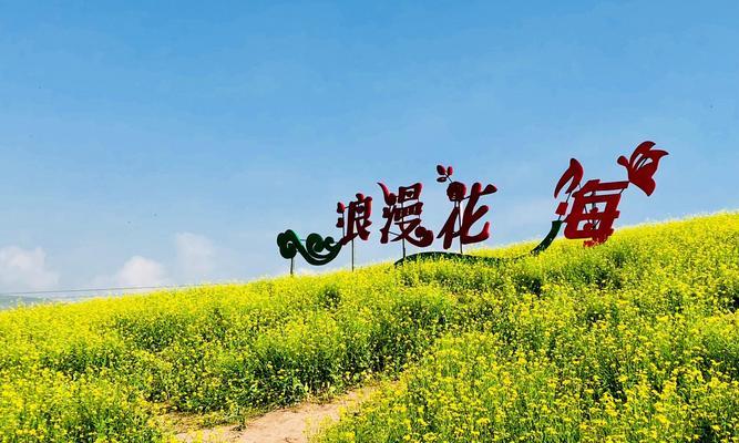 广元花海有哪些花卉种类？如何规划一次花海之旅？