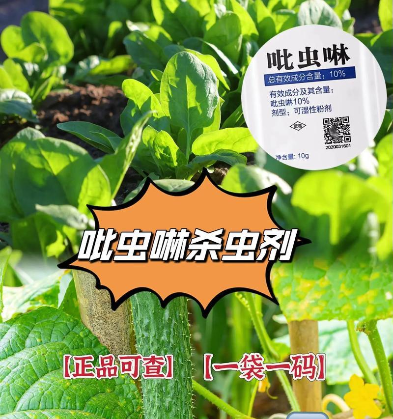蚜虫的定义是什么？