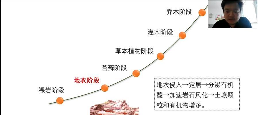 植物演替包括什么？演替过程中的关键因素有哪些？