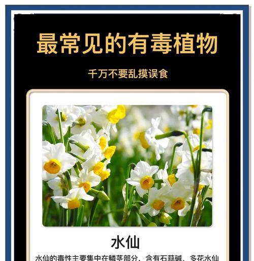 真的有毒的植物有哪些？如何识别？