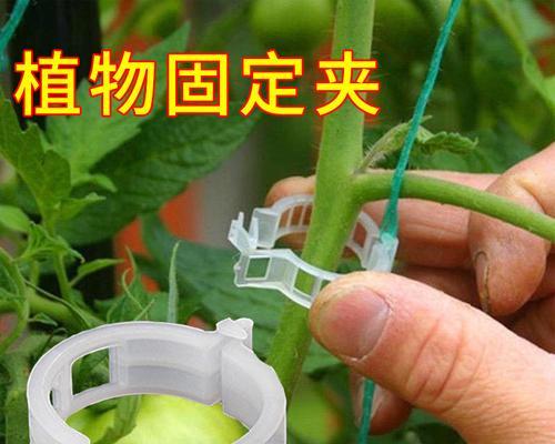 折叠植物盆架的正确安装方法是什么？