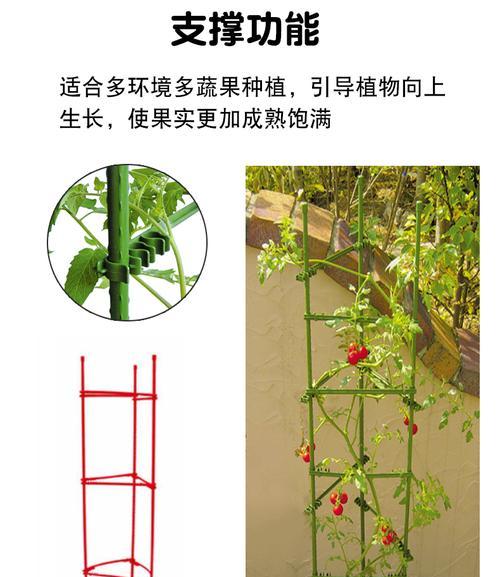 折叠植物盆架的正确安装方法是什么？