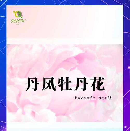 富贵传承花卉有哪些独特名字？