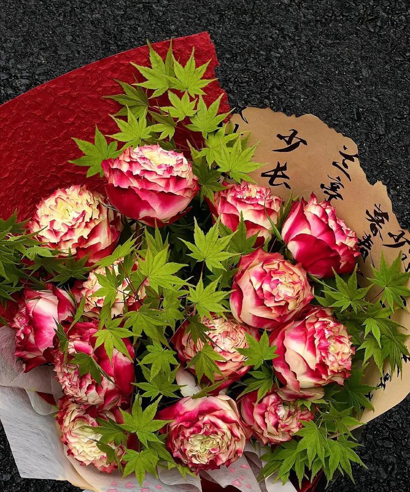 玫瑰花的花语有哪些？玫瑰花代表的含义是什么？