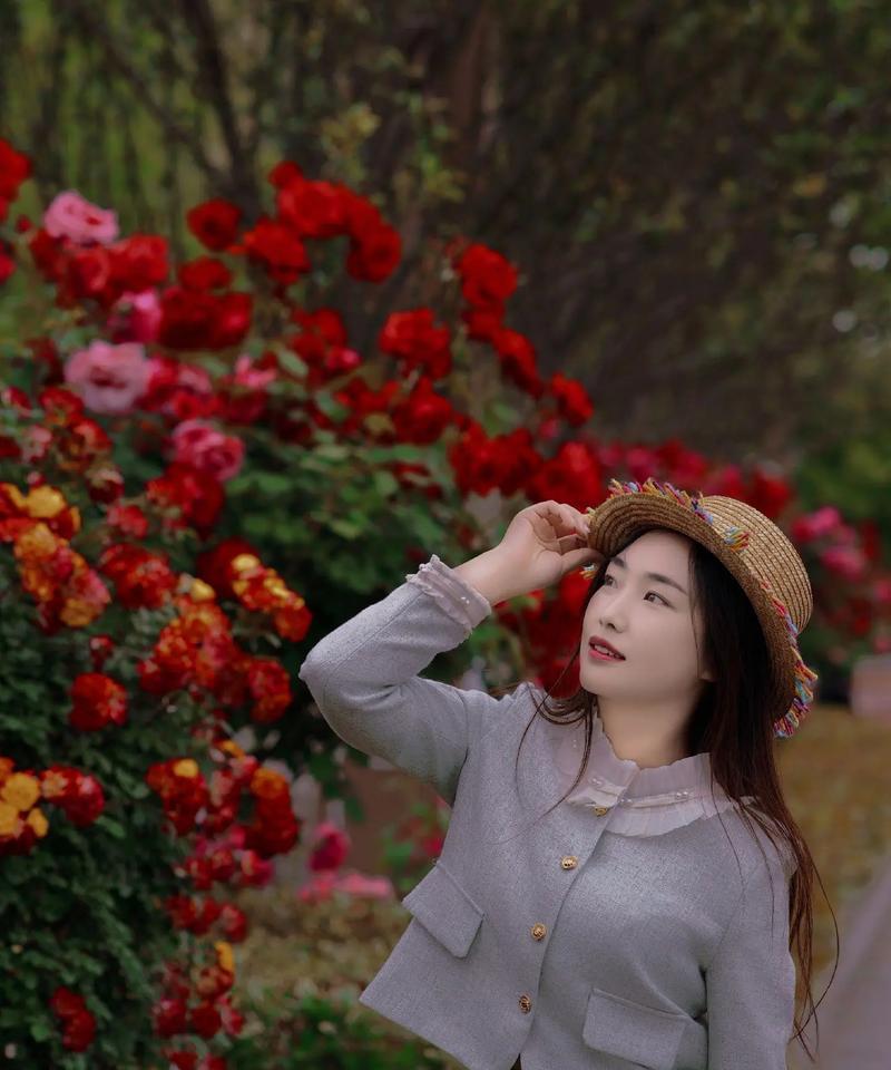 36朵玫瑰花在花语中传递了什么信息？