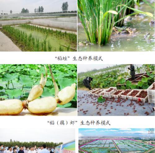 完全不打农药的含义是什么？生态农业的新趋势？