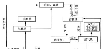 完全不打农药的含义是什么？生态农业的新趋势？