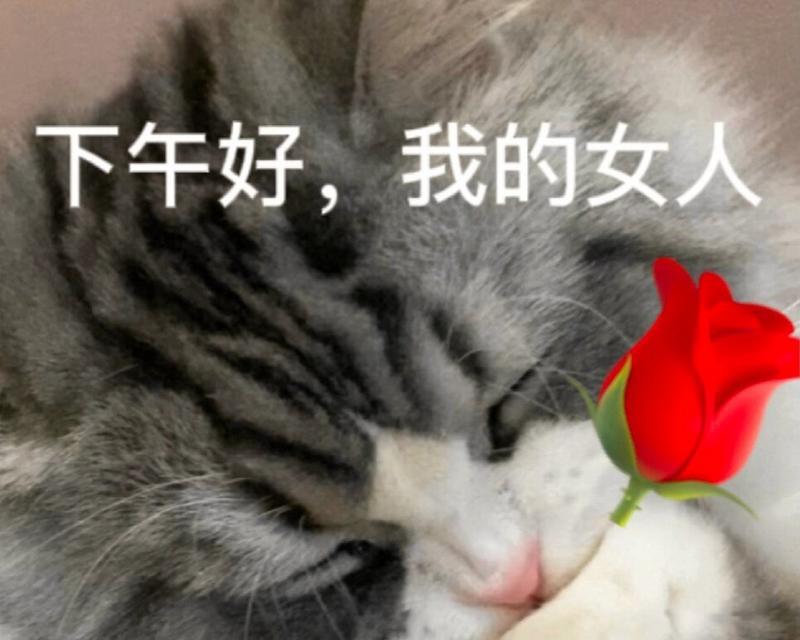 叼玫瑰花甩花的动作有何含义？这种行为背后的文化是什么？