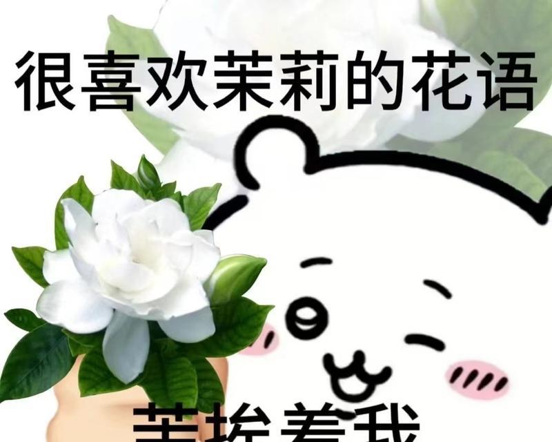 叼玫瑰花甩花的动作有何含义？这种行为背后的文化是什么？
