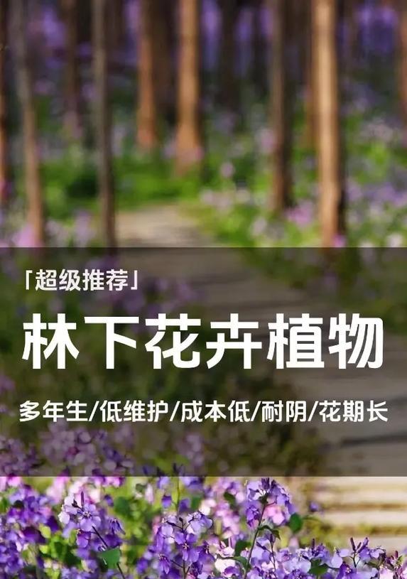 花卉用的蚊虫板材质是什么？如何选择？