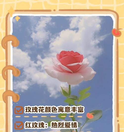 陌生女生送玫瑰花有何含义？这种行为背后可能隐藏什么信息？