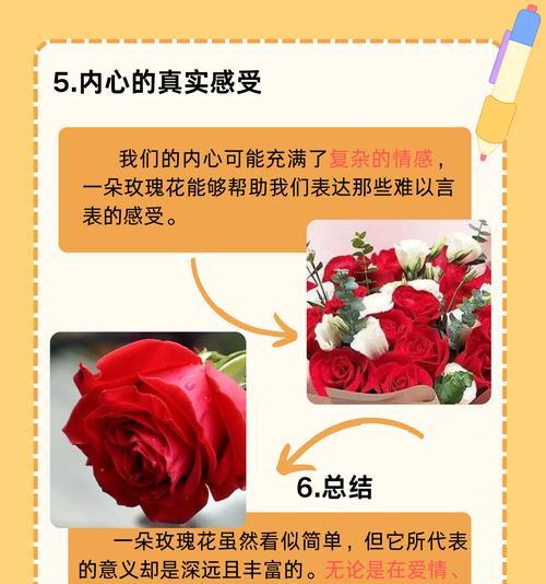 玫瑰花的花语是什么？玫瑰花在情感表达中有何特殊含义？