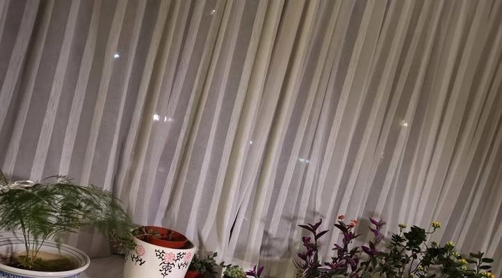 客厅飘窗放什么植物好？哪些植物适合室内光照？