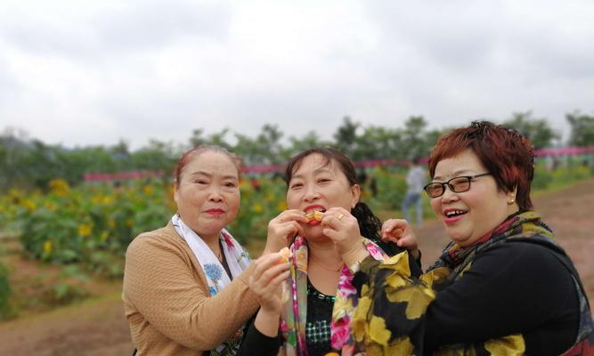 百合练柔道在花语中代表什么？