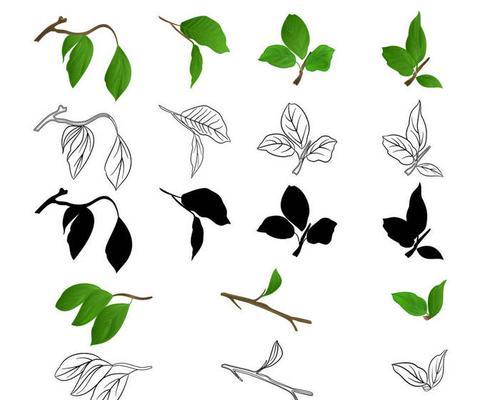 植物生长剪影的绘制技巧是什么？