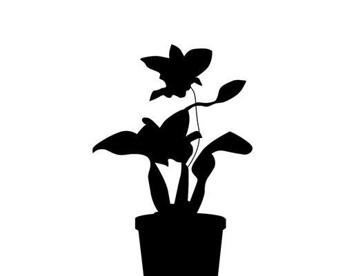 植物生长剪影的绘制技巧是什么？