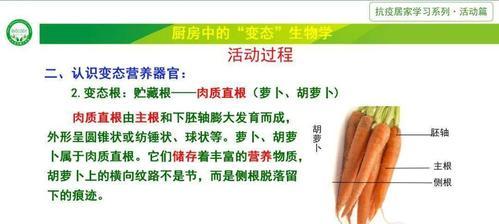 植物变态有什么？它们的生物学意义是什么？