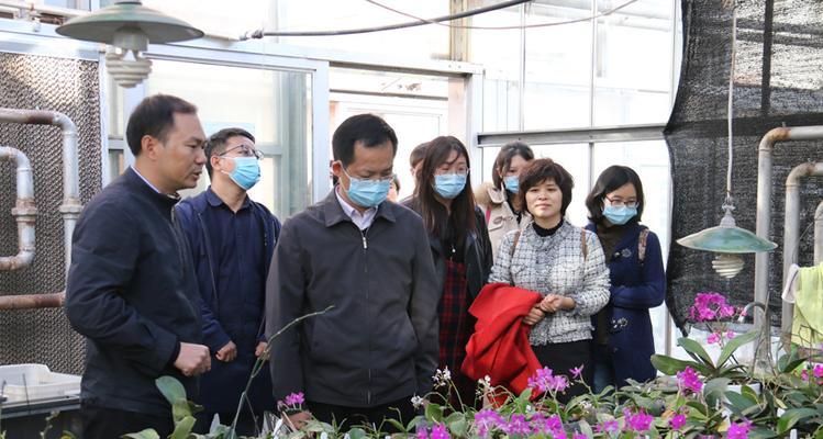 蔬菜花卉研究所的级别如何划分？研究方向有哪些？